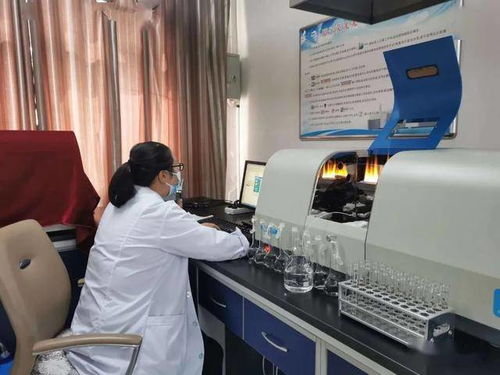 民樂縣水務(wù)局強(qiáng)化行業(yè)監(jiān)管，筑牢農(nóng)村飲水安全基石——聚焦集中式供水保障